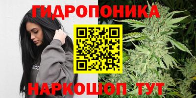 прущий лед Будённовск
