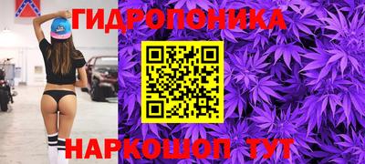прущий лед Будённовск