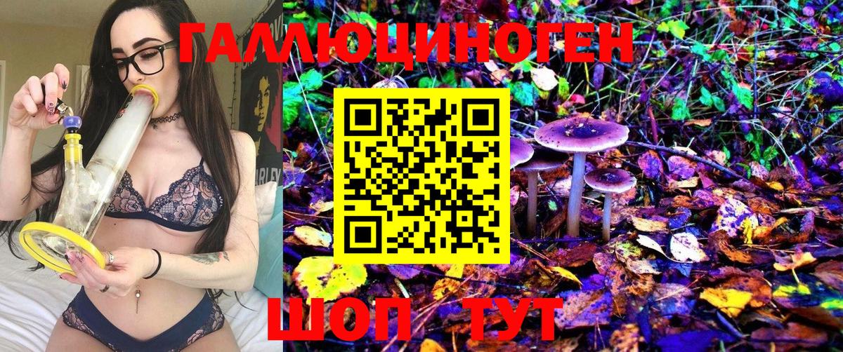 купить наркотики сайты  Вход с VPN  Североморск  Псилоцибиновые грибы MAGIC MUSHROOMS 